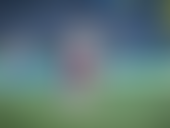 Dupla de argentinos reforça poder de marcação do Grêmio