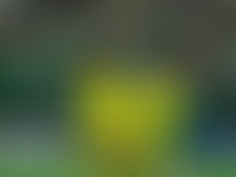 Chapecoense empata com o Brusque na estreia do Catarinense