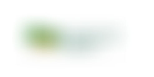 Confira os resultados do final de semana e a agenda da semana