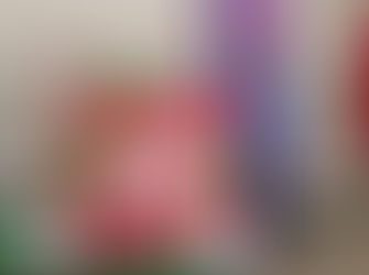 Planalto Alegre se destaca no JASTI 2026! 