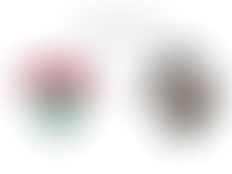 Flu precisa vencer por dois gols de diferença para ir á final