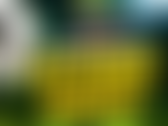 Confira os jogos deste sábado da 3ª rodada em Planalto Alegre