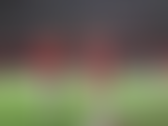 Inter vence Sport no Beira-Rio e se afasta do Z-4 do Brasileirão