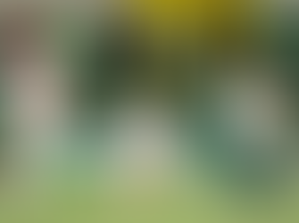 Chape vence em casa e amplia má fase do Fluminense