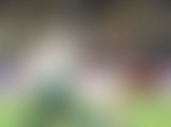 Chapecoense perde para o Fluminense e segue na lanterna