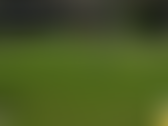 Amigos da Bola e P2 Pré-fabricados farão a final em Planalto Alegre