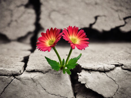 Integrating HOPE into my Clinical Training