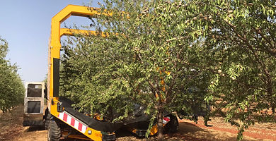 ChileAlmonds participa en gira técnica a España y Portugal