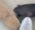 Surfskate, Surfskateboard, YOW