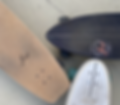 Surfskate, Surfskateboard, YOW