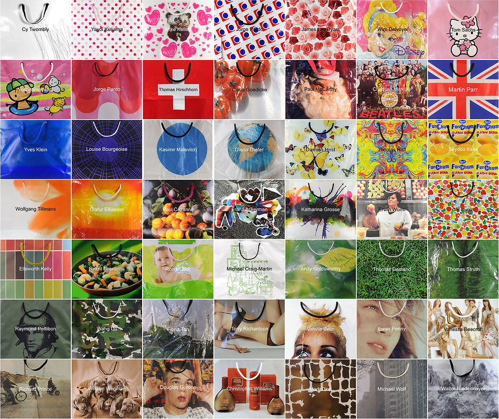 "Bags"50 works,2008
