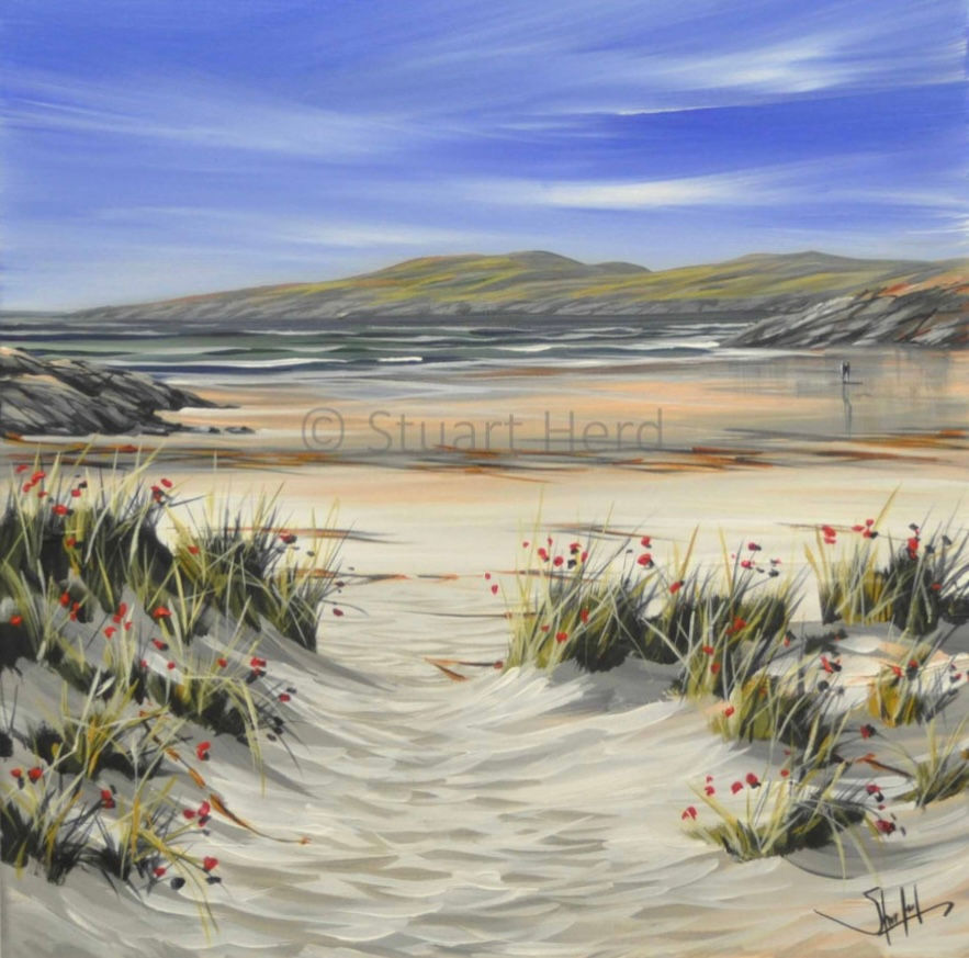 Achmelvich Dune poppies