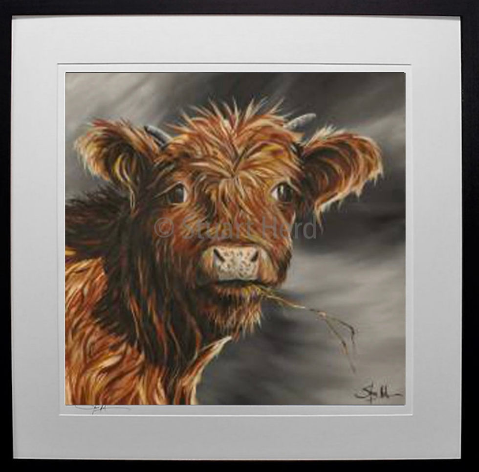 Thumbnail: Wee MacDuff