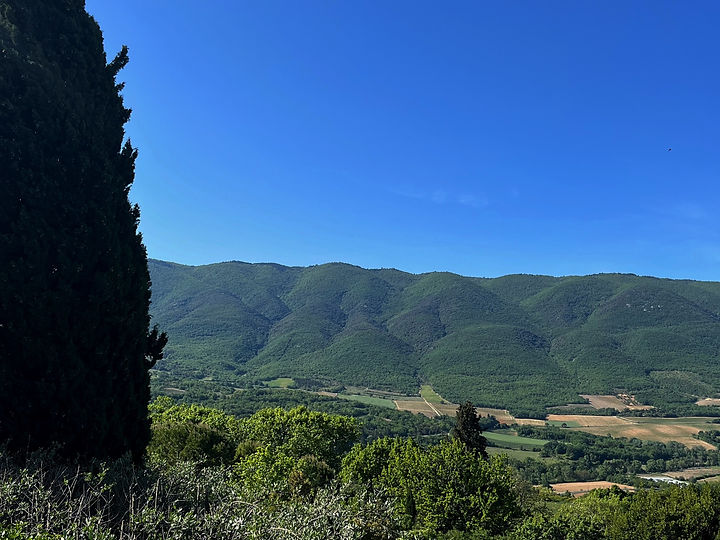 Saint Martin de Castillon Luberon.jpg