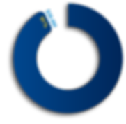 Impact2020 Campaign Graphi.png