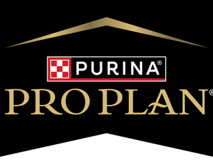 ABHA is proud to announce that Purina Pro Plan is now the official and exclusive dog food sponsor of the American Bird Hunters Association.