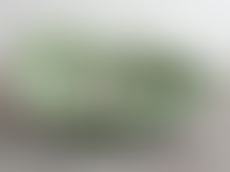 VERNISSAGE VON ANDREA WOLFENSBERGER