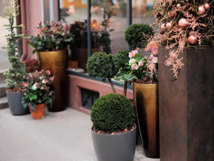 FLEURS DES ROIS – EIN FLORALES PARADIES