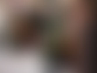 FLEURS DES ROIS – EIN FLORALES PARADIES