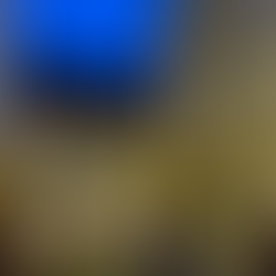 Magical Courtyards – Zauberhof auf dem Münsterplatz 