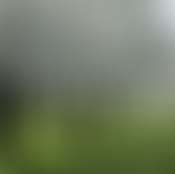 FRÜHLING UNTER FREIEM HIMMEL