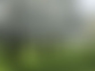 FRÜHLING UNTER FREIEM HIMMEL