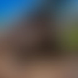 GALAPAGOS – EINES DER LETZTEN PARADIESE DER WELT