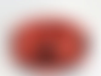 CARMEN PERRIN «DÉSORDRES«