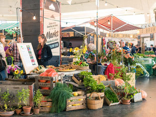 WILDER WALD- UND WIESENMARKT