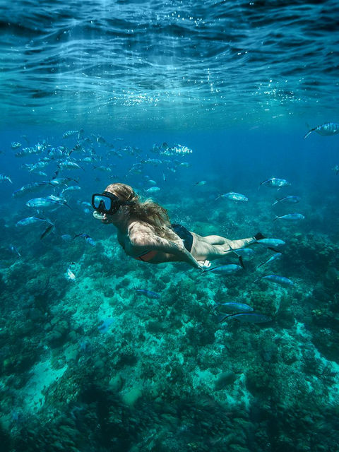 Isla Catalina bei La Romana – neues Karibik-Kreuzfahrt-Ziel der MSC Group