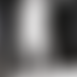 «ZILLA» IM STADTKINO BASEL