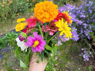 BLUMEN PFLÜCKEN IST WIE MEDITIEREN
