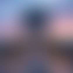 Die Kettenbrücke mit den zwei Löwen in Budapest