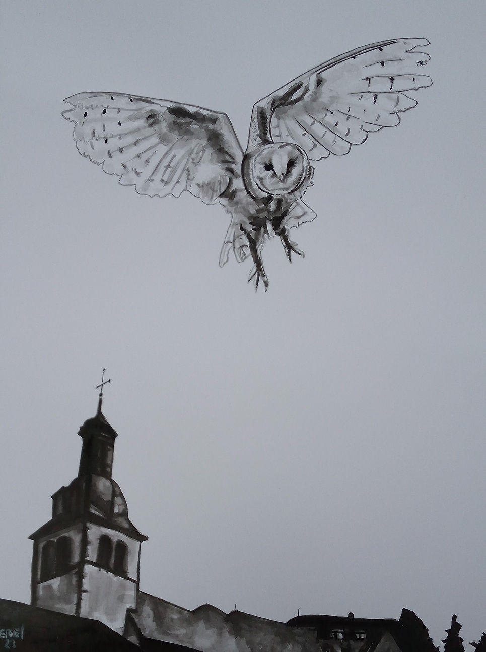 Rebel - hibou 1 (1).jpg