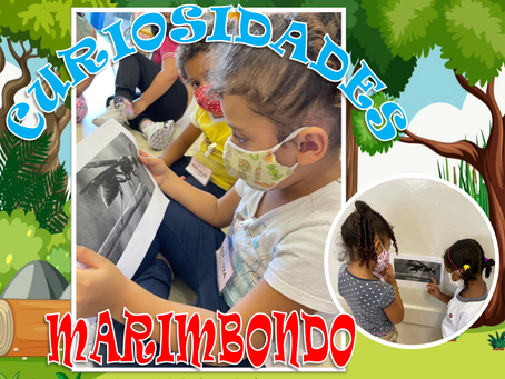 Brincando de cientista