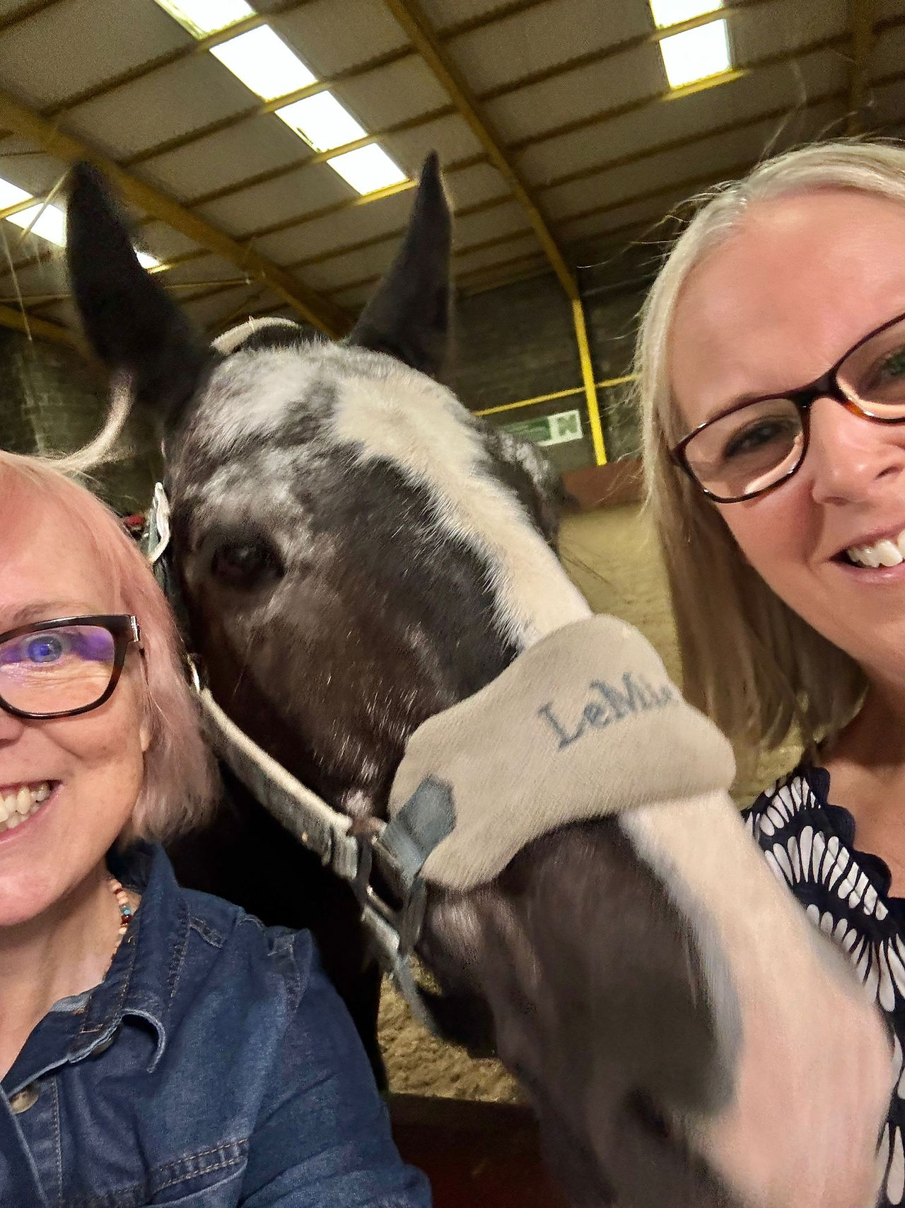 Larry the horse