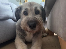 Tilly