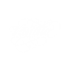 Vanilla Final Calligraphy Swirls.png