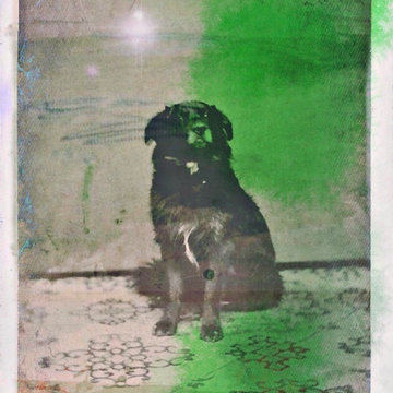 bruno