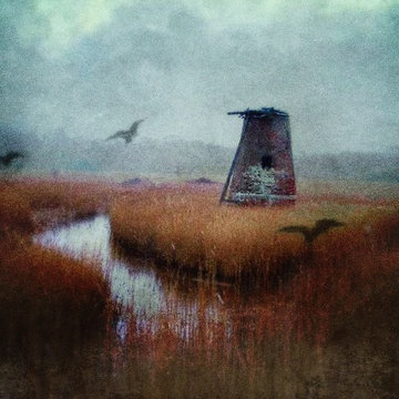 Marshes at dawn