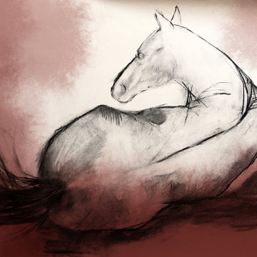 Blood Mare