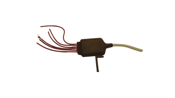 IMG20250429192044 - Edited.png