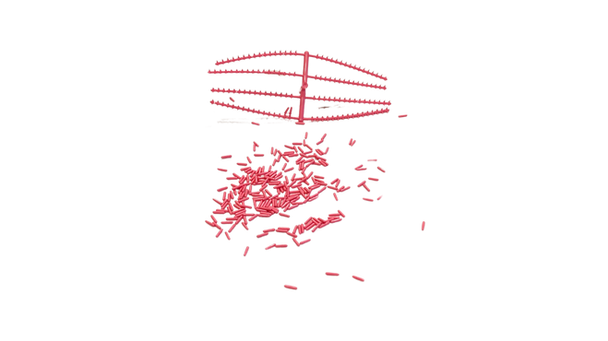 IMG20250429193309 - Edited.png