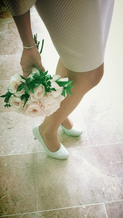 aviary_1454242908974