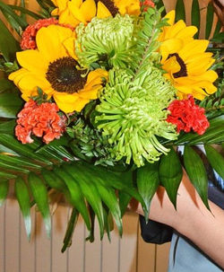 882910_398138710289103_1527068587_o_edited