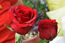 1272956_376745752428399_1140787641_o