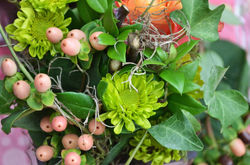 1397549_393283390774635_2097621320_o