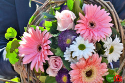 1617622_426508777452096_1984193992_o