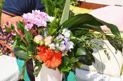 1025297_382201751882799_1382834347_o