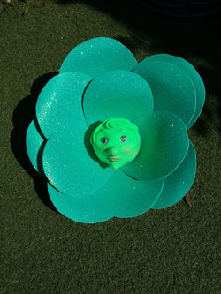 20180708_164229_1531246183226